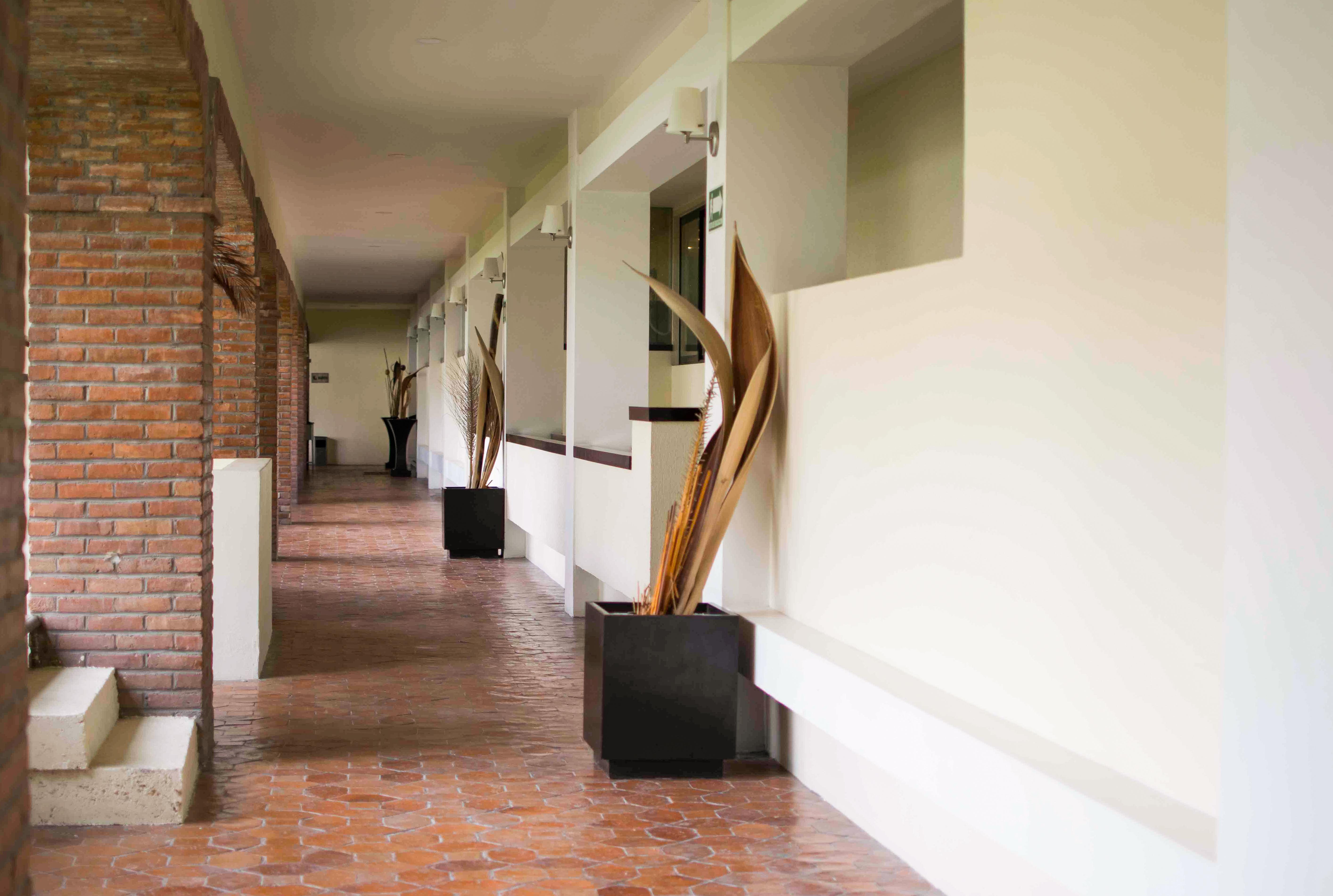 Wyndham Garden Aguascalientes Hotel & Casino Екстер'єр фото